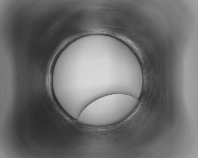 X0000102541286200808081042