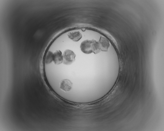 X0000102541287200808081042
