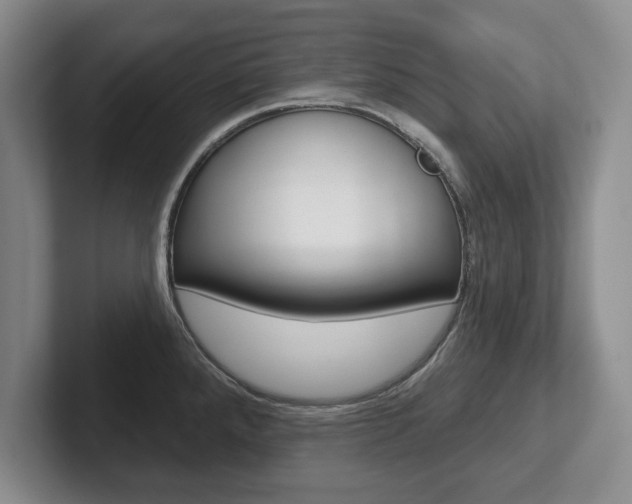 X0000102541288200808081042