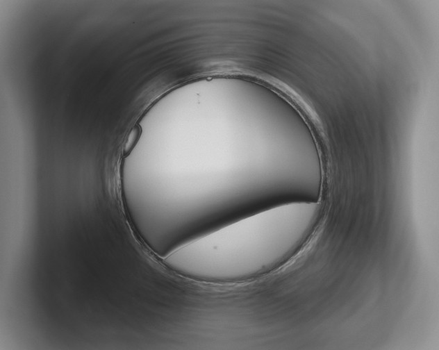 X0000102541289200808081042