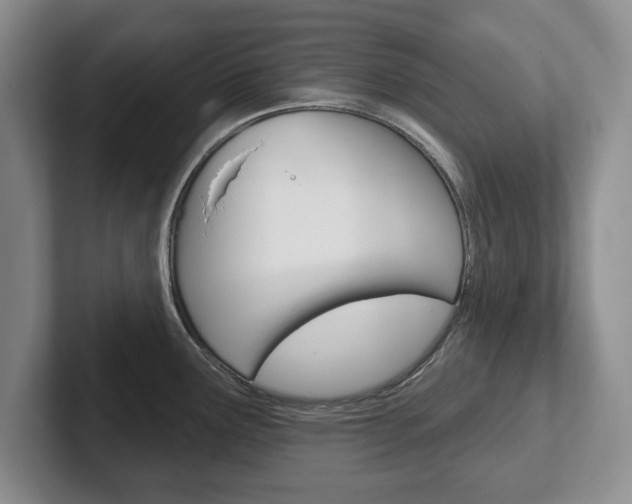 X0000102541291200808081042