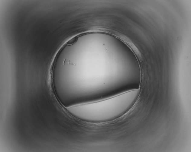 X0000102541292200808081042