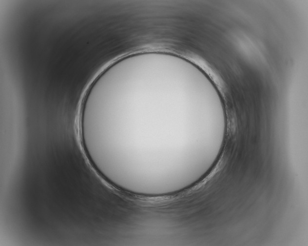 X0000102541294200808081042