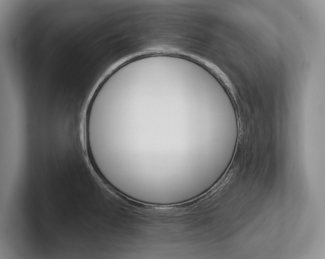 X0000102541295200808081042