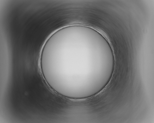 X0000102541296200808081042