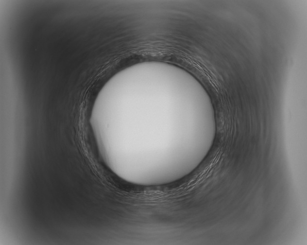 X0000102541297200808081042