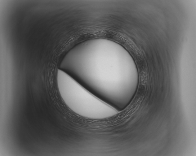 X0000102541298200808081042