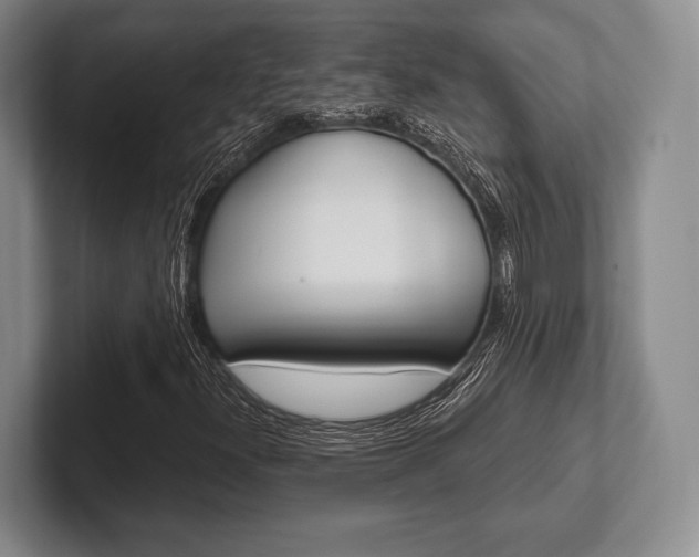 X0000102541300200808081042