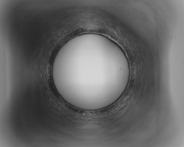 X0000102541301200808081042