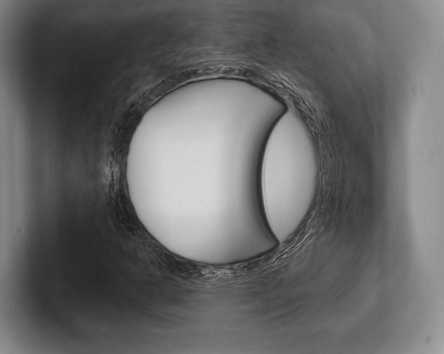 X0000102541302200808081042