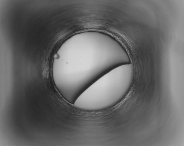 X0000102541306200808081042
