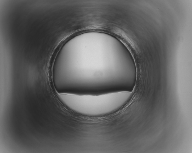 X0000102541308200808081042