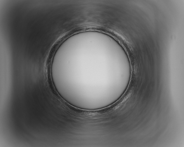 X0000102541309200808081042