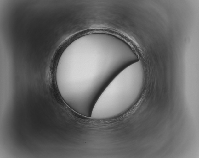 X0000102541311200808081042