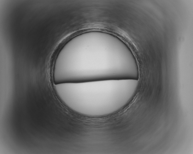 X0000102541312200808081042