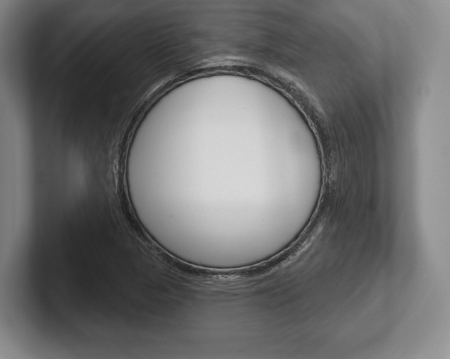 X0000102541313200808081042