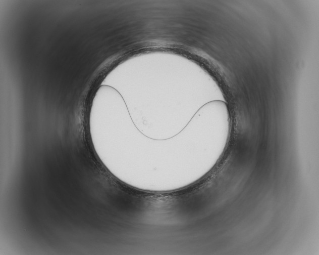 X0000102541314200808081042