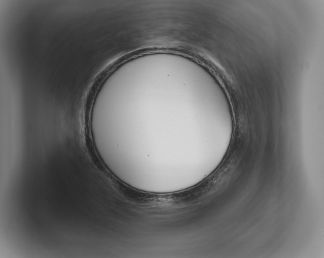 X0000102541315200808081042