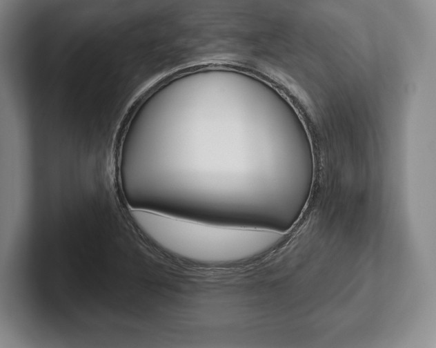 X0000102541316200808081042