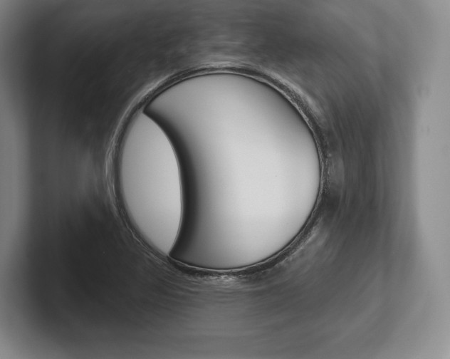 X0000102541317200808081042