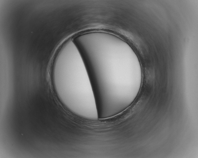 X0000102541318200808081042