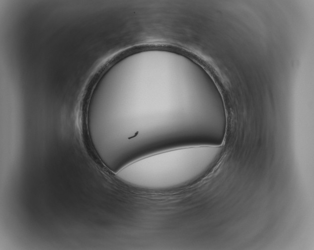 X0000102541319200808081042