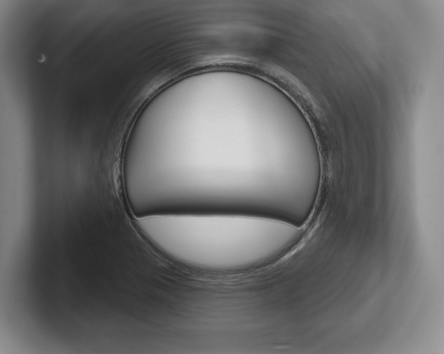X0000102541321200808081042