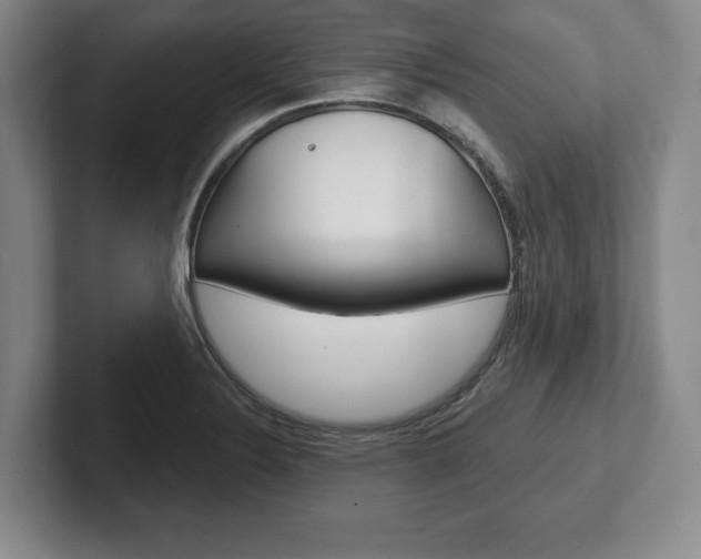 X0000102541324200808081042