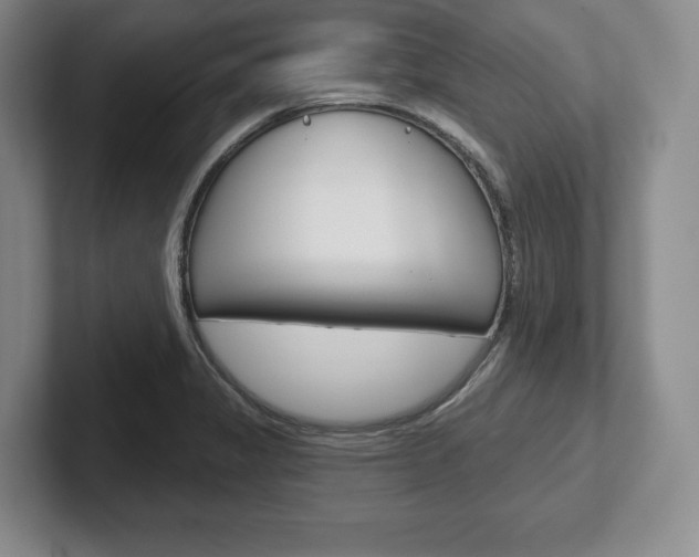 X0000102541325200808081042