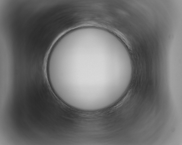 X0000102541326200808081042