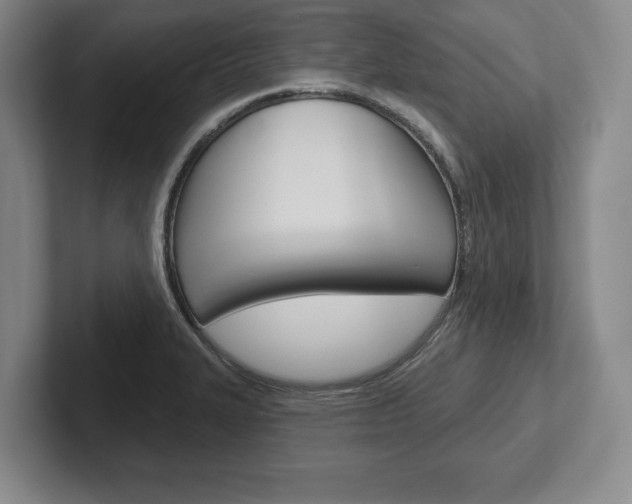 X0000102541327200808081042