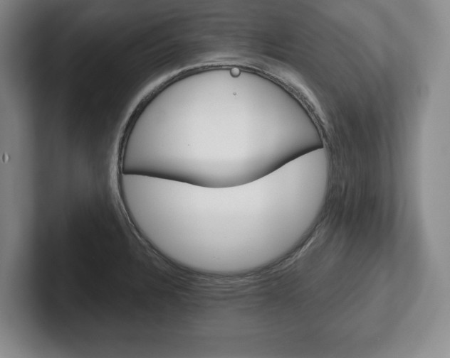X0000102541328200808081042