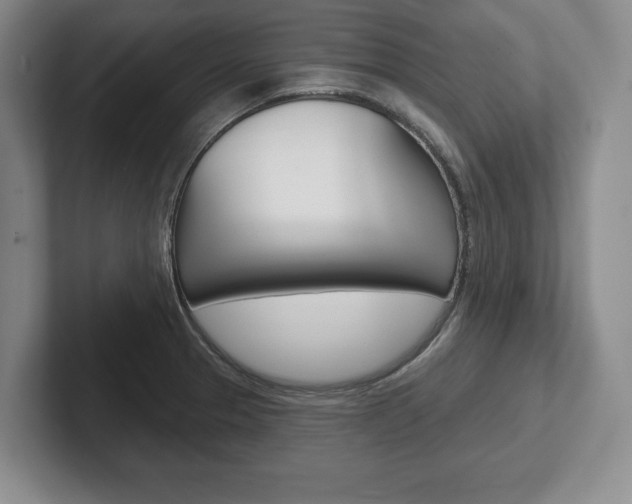 X0000102541329200808081042
