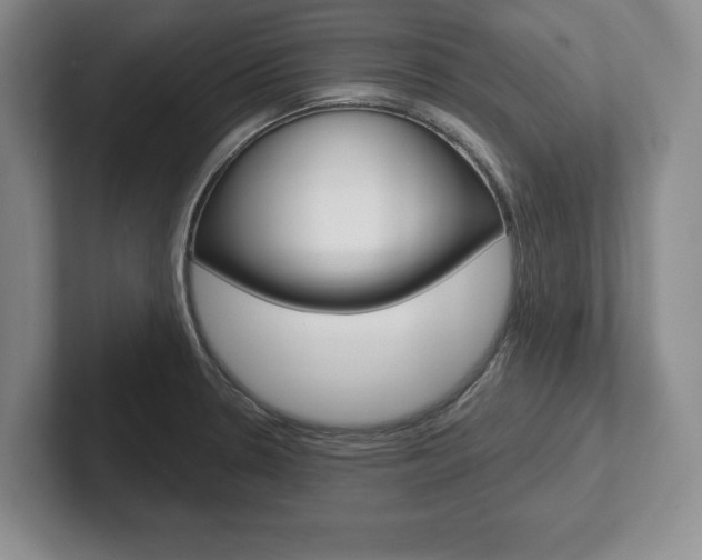 X0000102541330200808081042