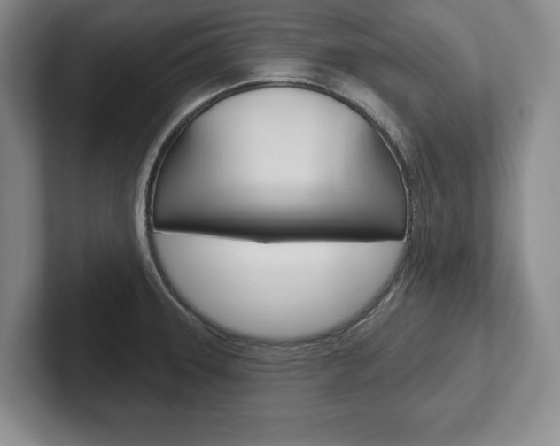X0000102541331200808081042