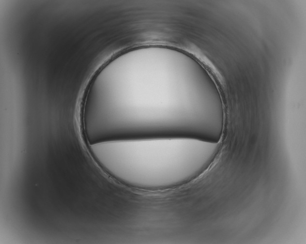 X0000102541333200808081042