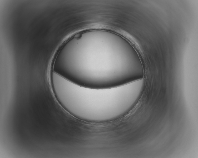 X0000102541334200808081042