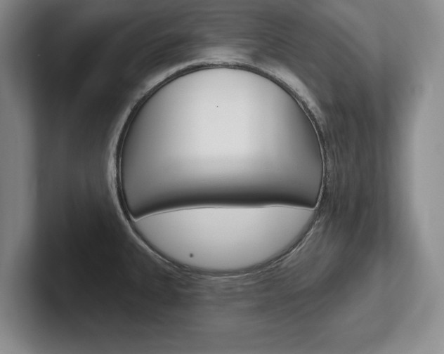 X0000102541335200808081042