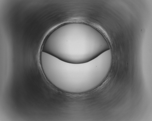 X0000102541336200808081042