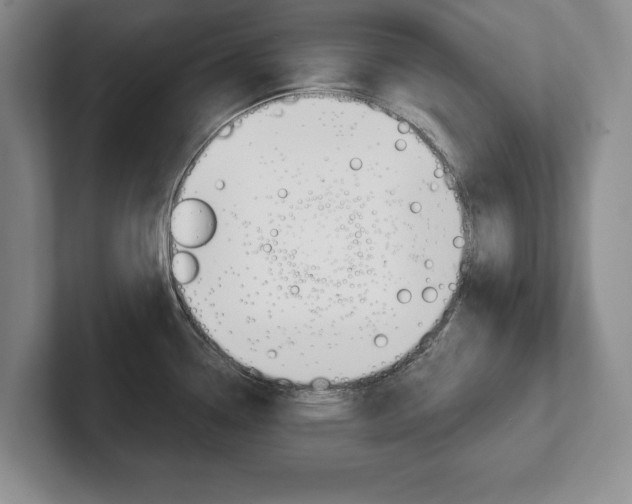 X0000102541338200808081042