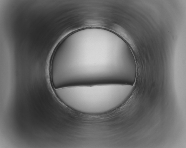 X0000102541339200808081042