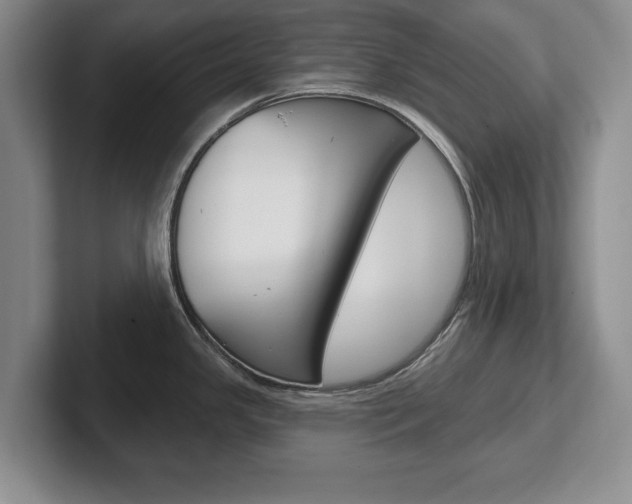 X0000102541341200808081042