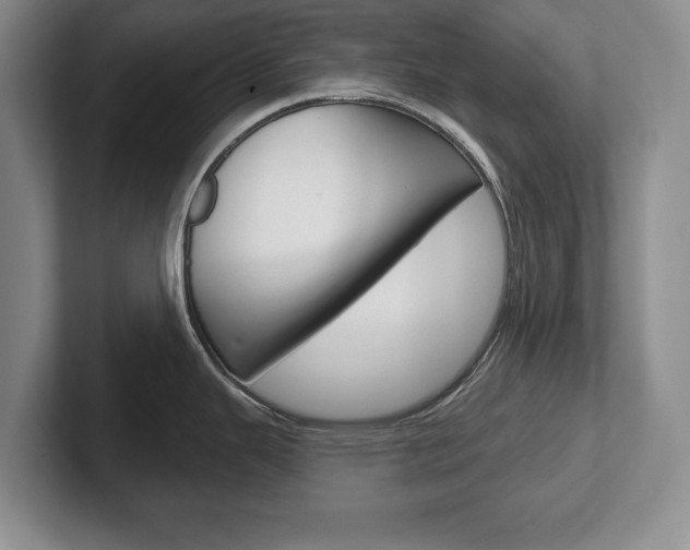 X0000102541343200808081042