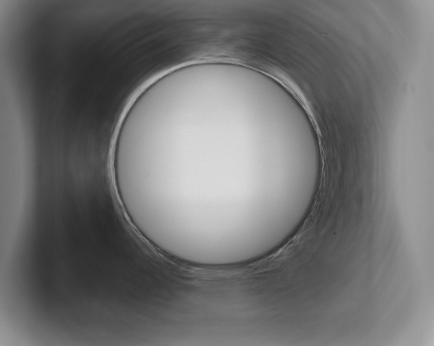 X0000102541344200808081042