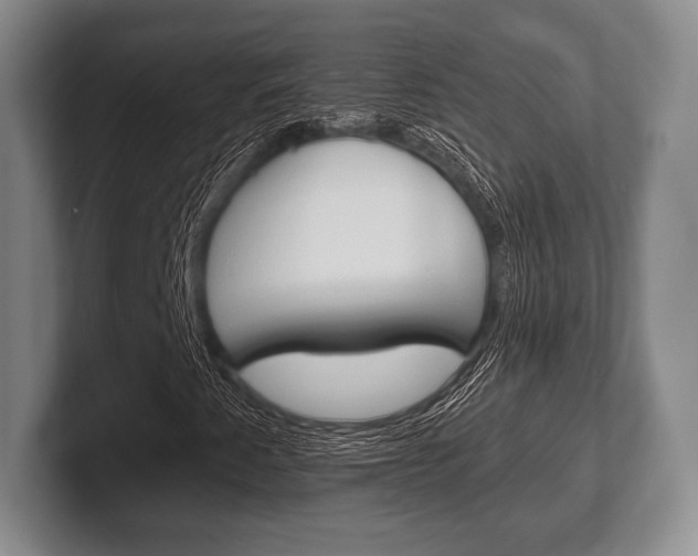 X0000102541345200808081042
