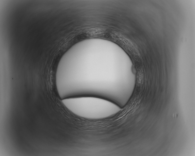 X0000102541346200808081042