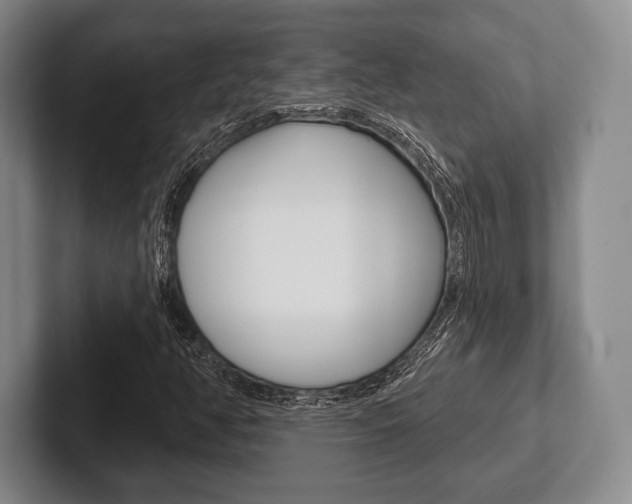 X0000102541350200808081042