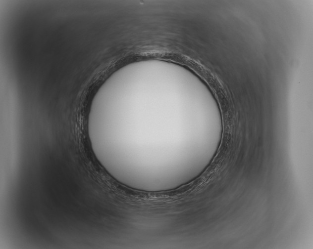 X0000102541351200808081042