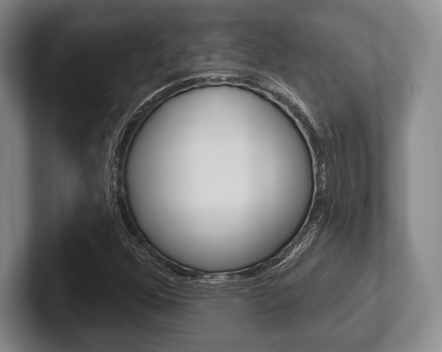 X0000102541352200808081042