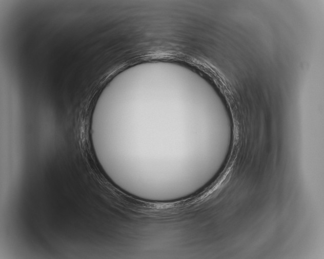 X0000102541353200808081042